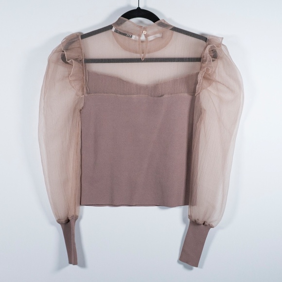 Zara Sheer Chiffon Tulle Mesh Ruffle Mock Collar Long Sleeve Sweater Blouse S - Picture 4 of 4